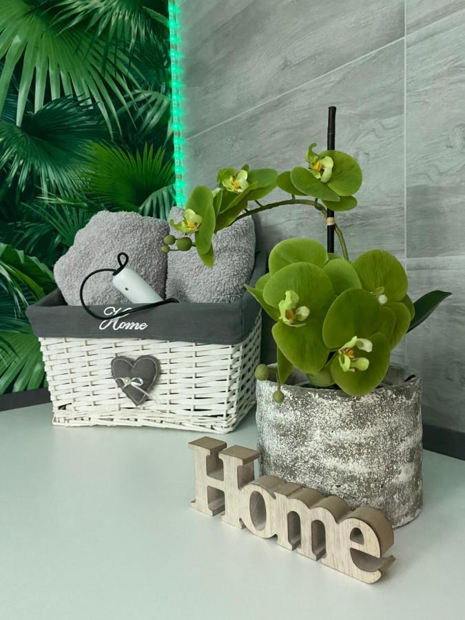 Ferienwohnung Erfurter Rose Bagian luar foto